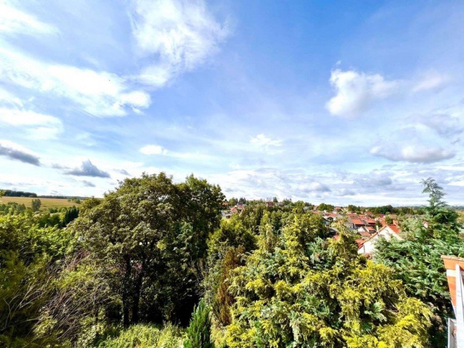 Blick von der Terrasse Mehrfamilienhaus Benneckenstein (Harz)