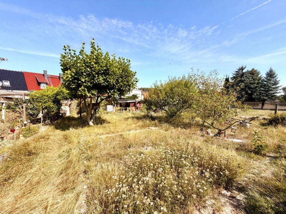 Ansicht Grundst�ck Haus Mansfeld