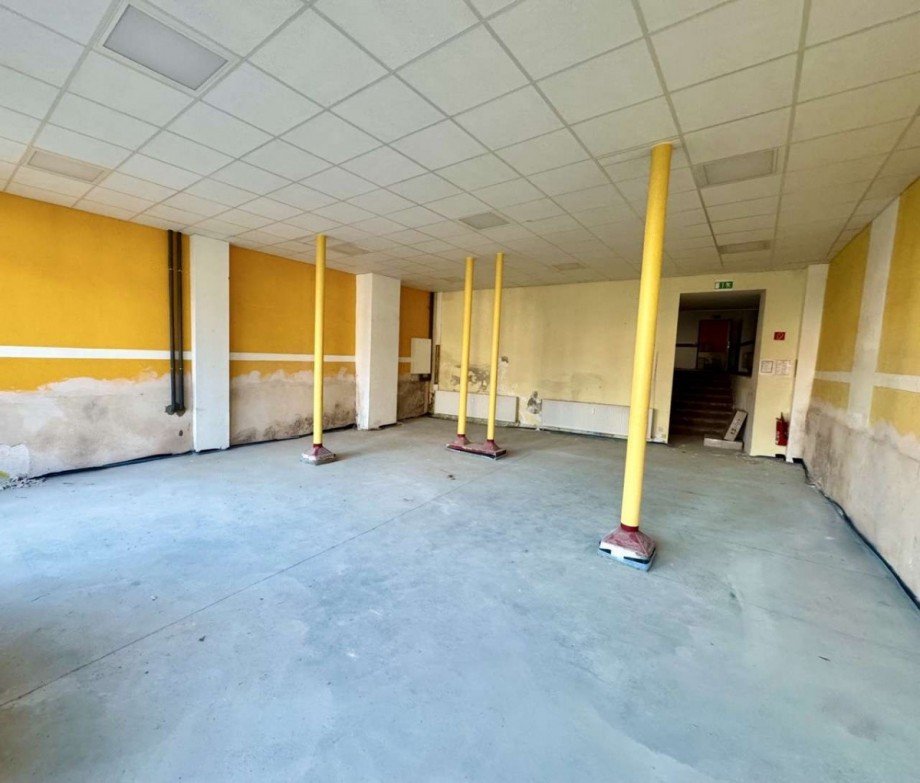 Gewerbeeinheit Mehrfamilienhaus Ballenstedt