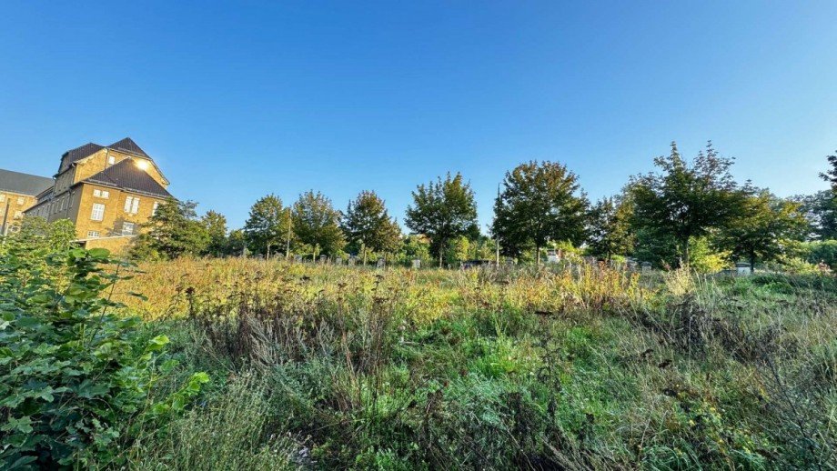 Grundst�ck4 Gemischt-Grundst�ck Quedlinburg