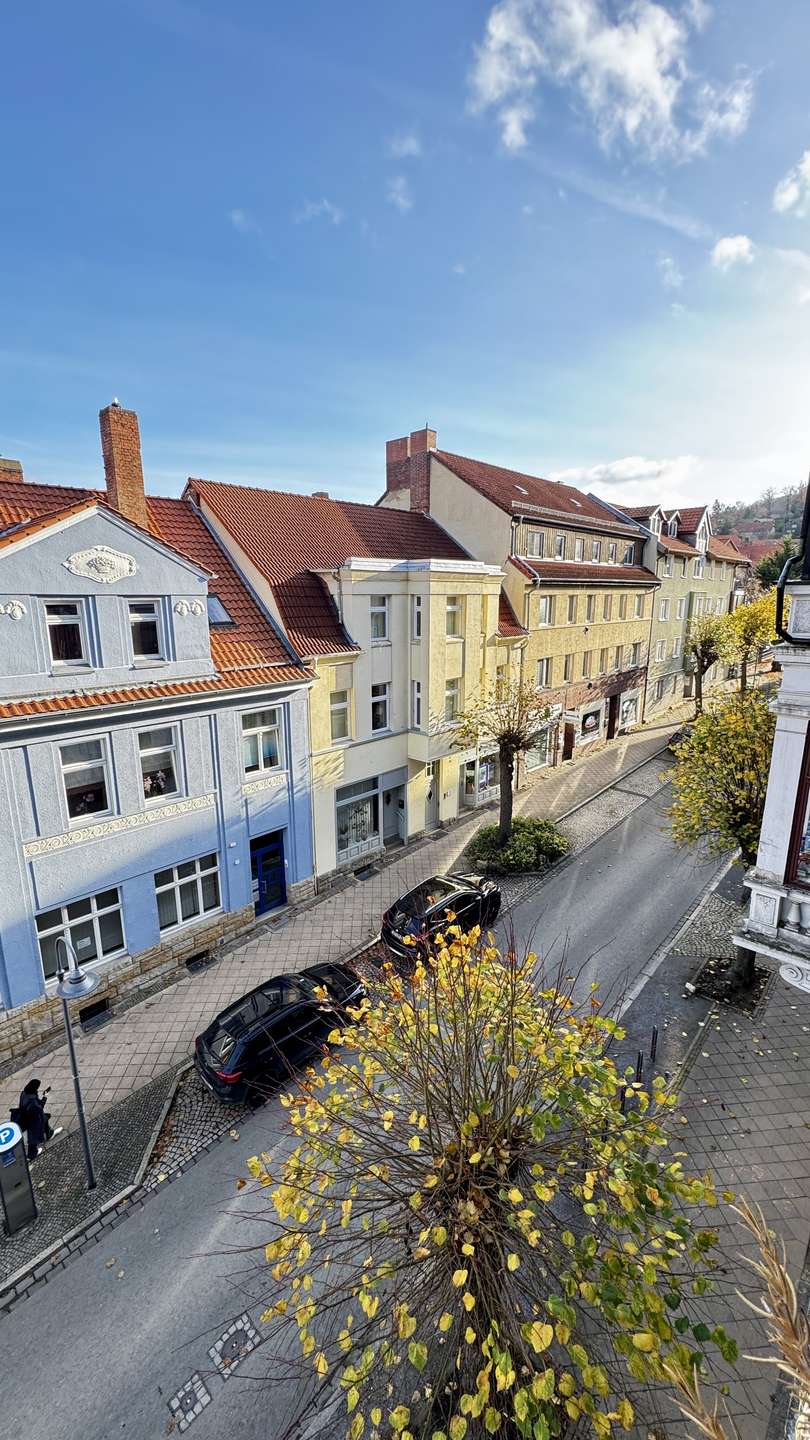 Blick in Richtung Schloss Wohnung Blankenburg