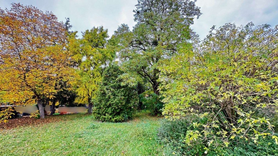 Garten1 Wohn- / Gesch�ftshaus Meisdorf