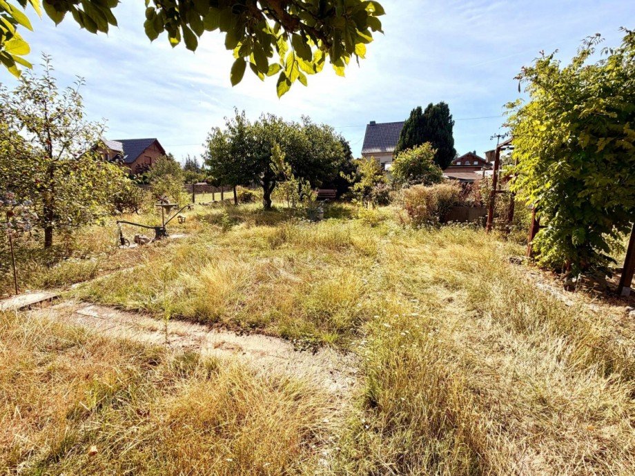 Ansicht Grundst�ck Haus Mansfeld