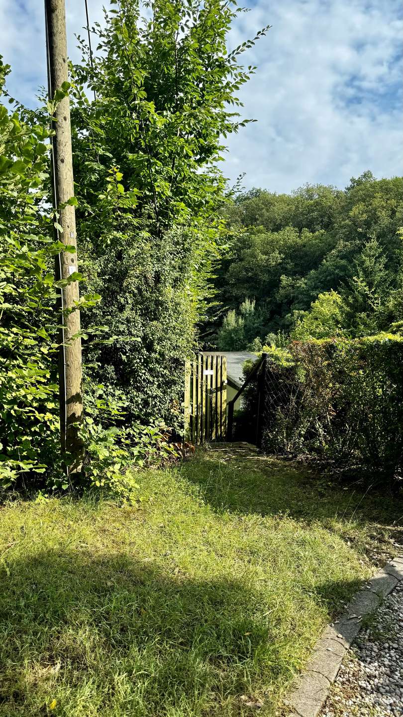 A oberer Zugang Einfamilienhaus Falkenstein/Harz