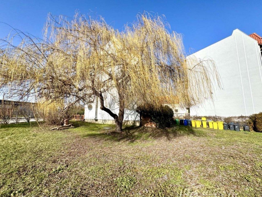 Gartenansicht Mehrfamilienhaus Halberstadt