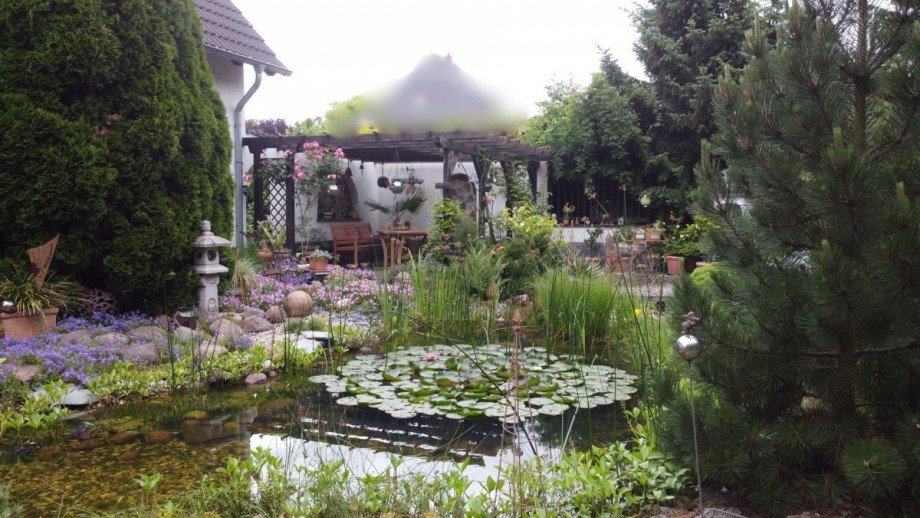 260609Teich Lounge Einfamilienhaus Magdeburg