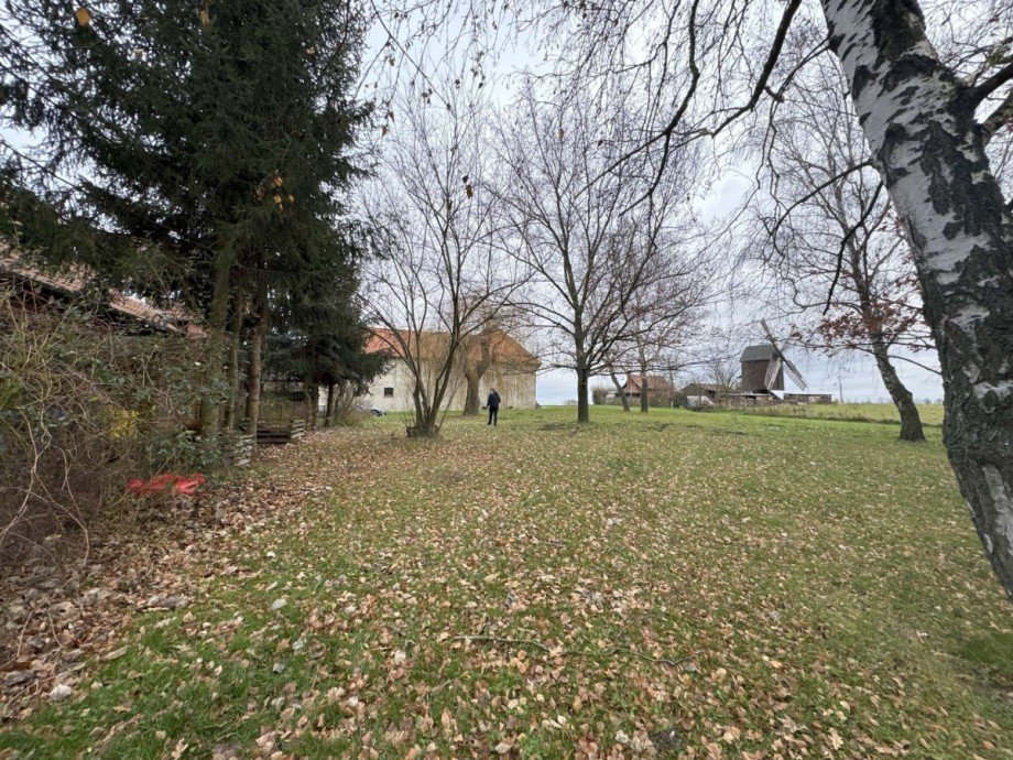 Danstedt6 Wiese hinter dem Haus Mehrfamilienhaus Danstedt