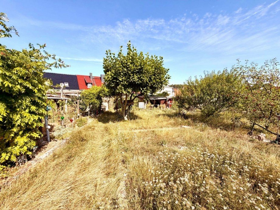 Ansicht Grundst�ck Haus Mansfeld