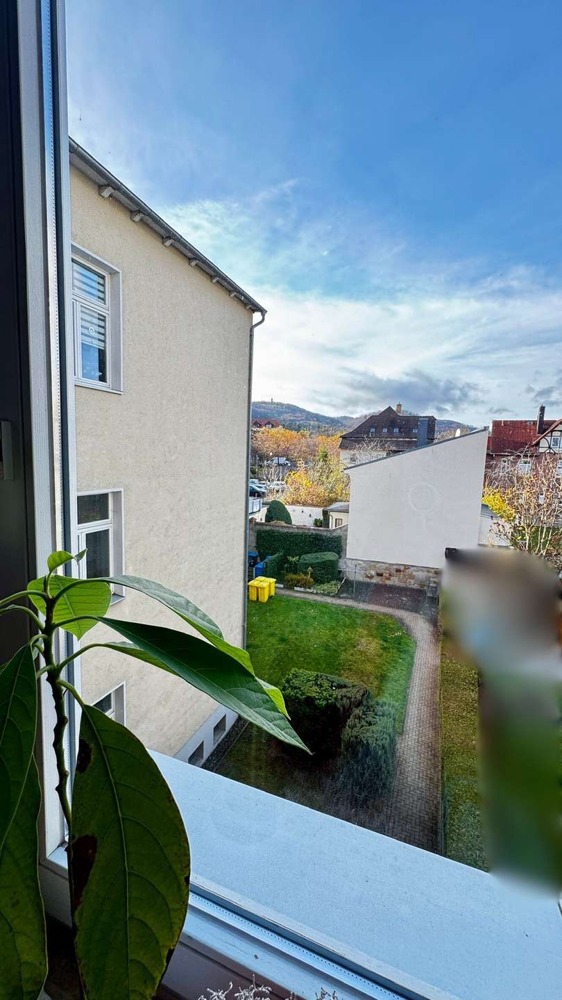 Blick zum Hof. Wohnung Blankenburg