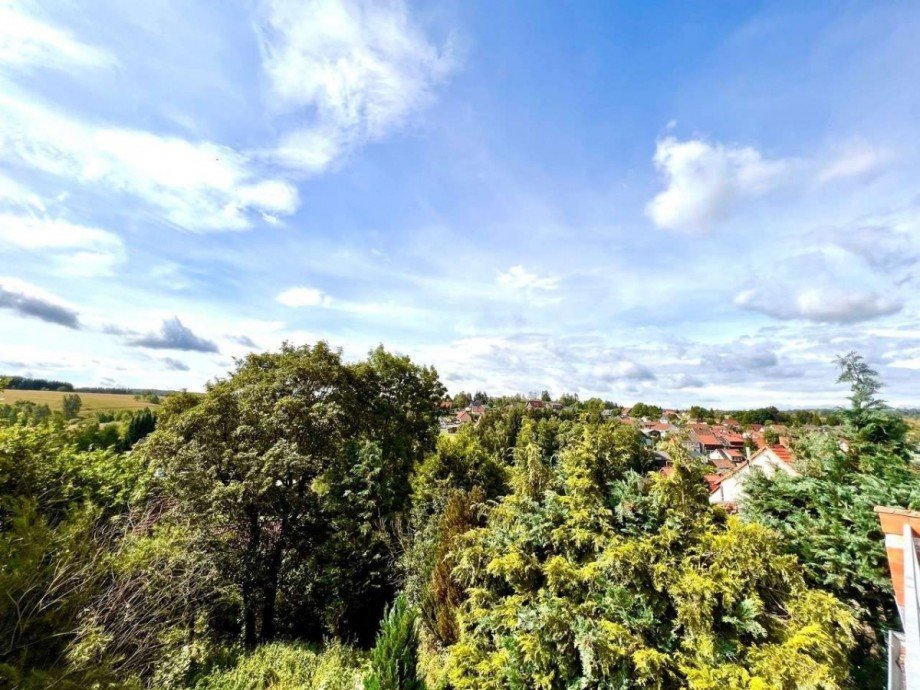 Blick von der Terrasse Zweifamilienhaus Benneckenstein (Harz)