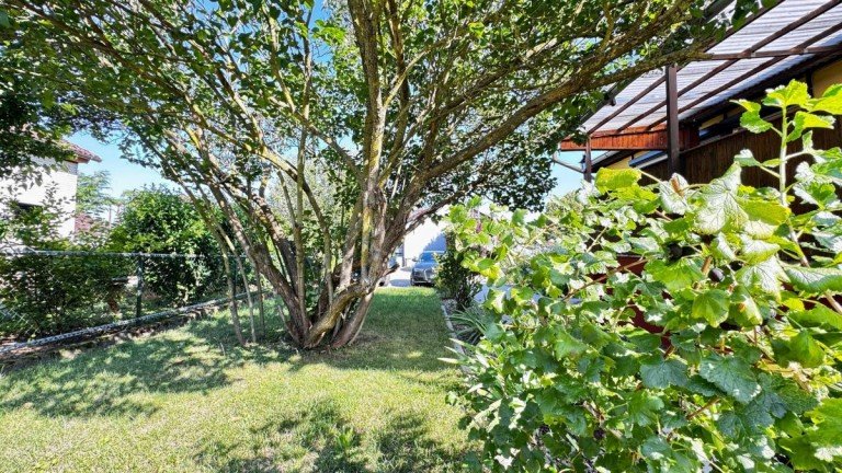 Garten Gro� Quenstedt - Harz Bungalow modernisierter Bungalow mit beheiztem Vollkeller und Garage in ruhiger Wohnlage