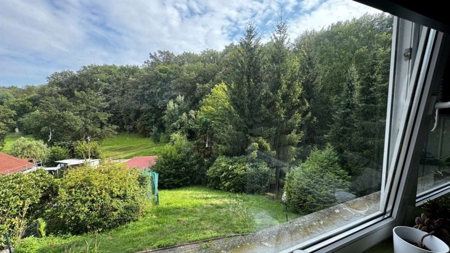Esszimmer Blich aus dem Fenster Einfamilienhaus Falkenstein/Harz