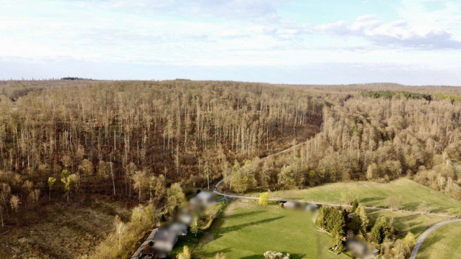 Altenbrak Luftbild Umland4 Mehrfamilienhaus Thale