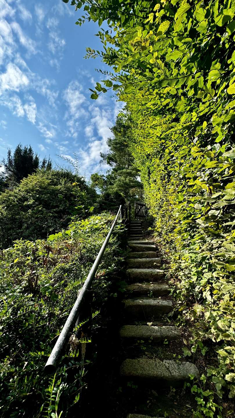 A Ausgang Golfplatz Einfamilienhaus Falkenstein/Harz